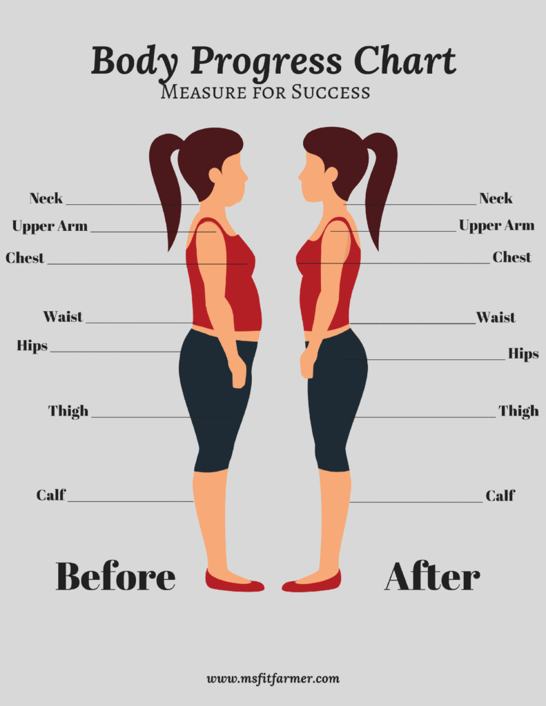 Body Measurement Chart Ms fit farmer 