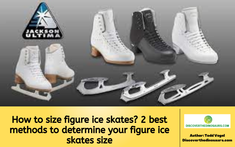 Ice Skate Vs Shoe Size At James Silvestri Blog