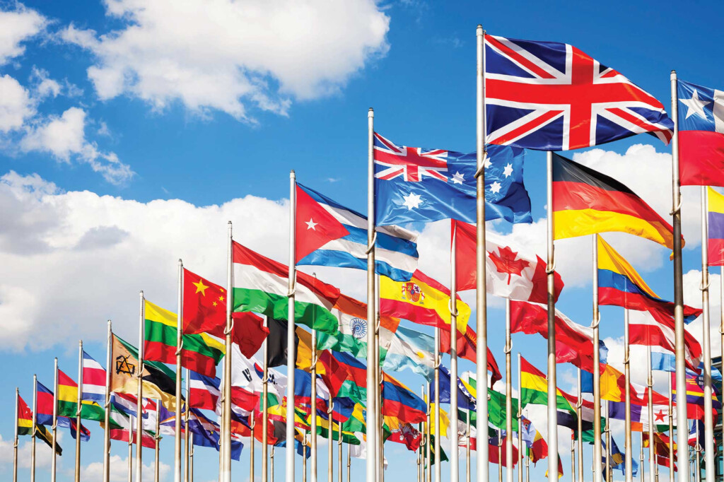 International Cooperation ViMariel EZ