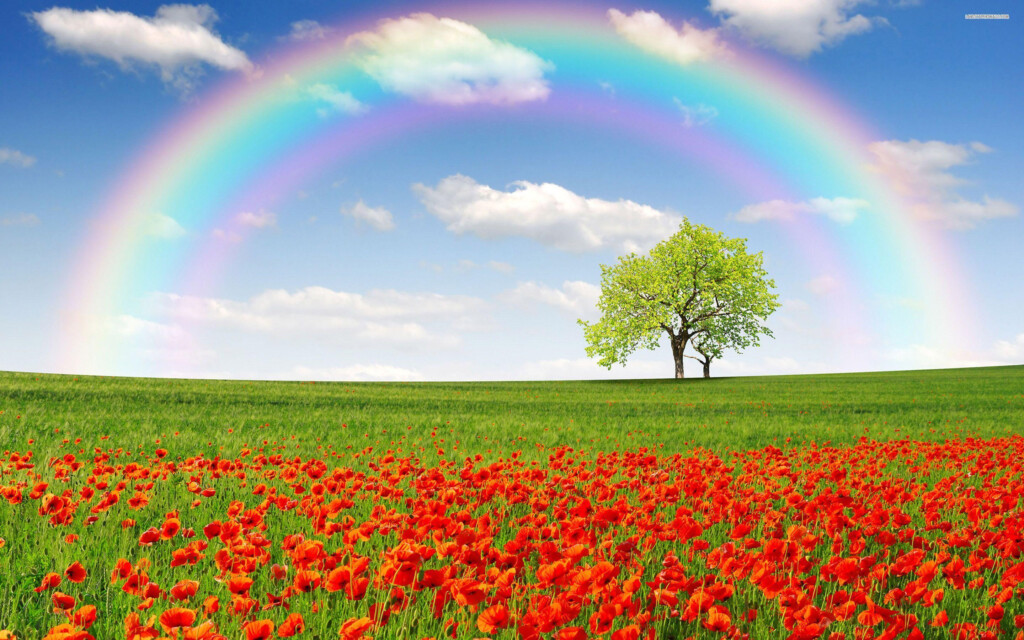 Rainbow High Wallpapers Top Free Rainbow High Backgrounds 