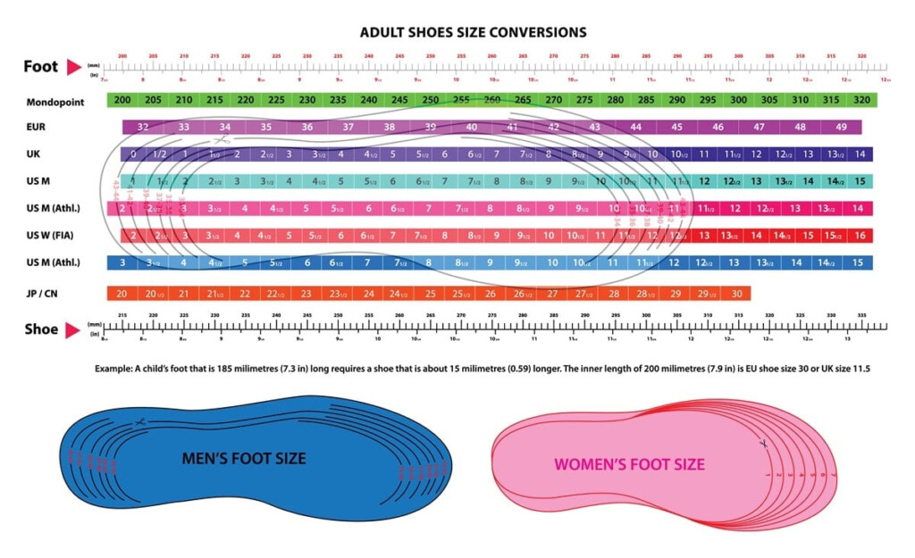 Shoe Size Conversion Chart Youth To Women 39 s Outlet Bellvalefarms