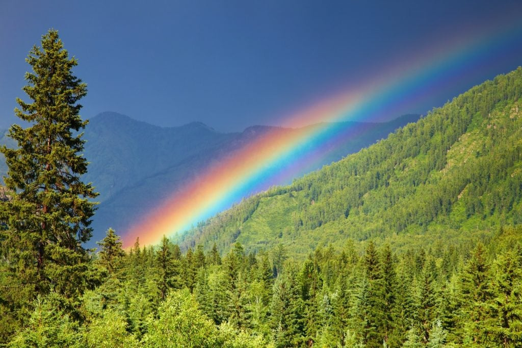 The 7 Colors Of The Rainbow And Their Meanings Explained In Detail 2023 